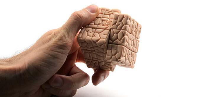 A importância da Neuroplasticidade para nosso cérebro e maneiras para aumentá-la